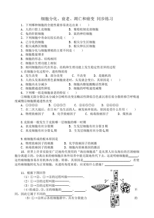 新人教版高中生物必修1细胞分化、衰老、凋亡和癌变 同步练习