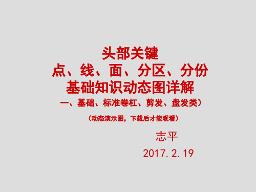 点、线、面、分区、卷杠、剪发、盘发动态图详解