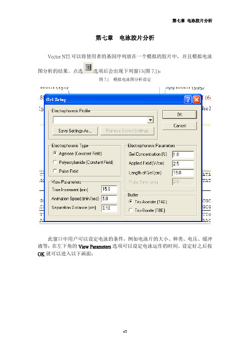 第七章_电泳胶片分析