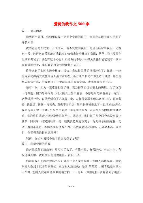 爱玩的我作文500字