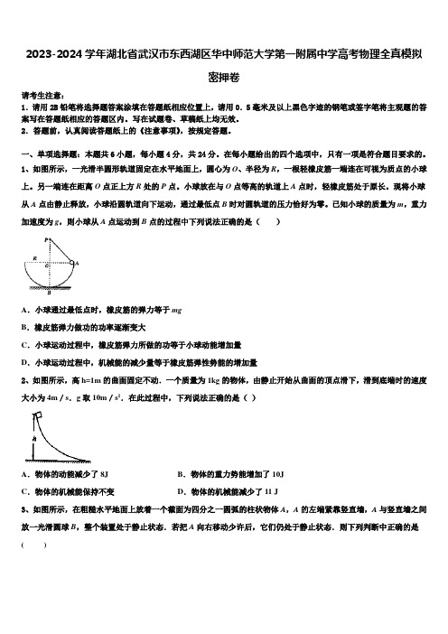 2023-2024学年湖北省武汉市东西湖区华中师范大学第一附属中学高考物理全真模拟密押卷含解析