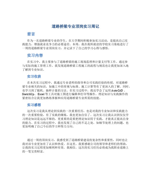 道路桥梁专业顶岗实习周记(DOC)