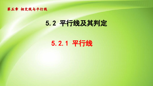 5.2.1平行线  课件(共25张PPT)  2023—2024学年人教版七年级数学下册