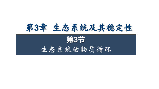 生态系统的物质循环课件(共36张PPT)人教版选择性必修2