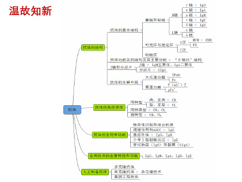 医学免疫学 第5章 补体系统 公开课课件