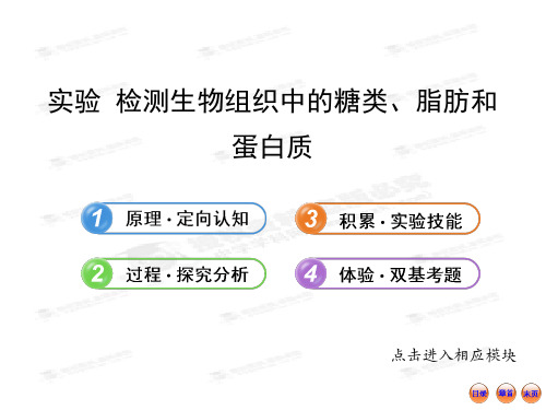 【江苏专用】版高中生物全程复习方略(人教版)配套课件：1.2.实验检测生物组织中的糖类、脂肪和蛋白质