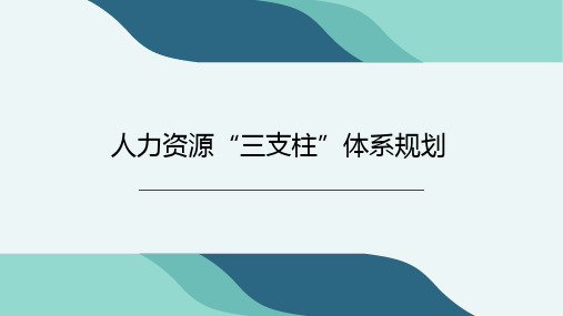 人力资源“三支柱”体系规划经典篇