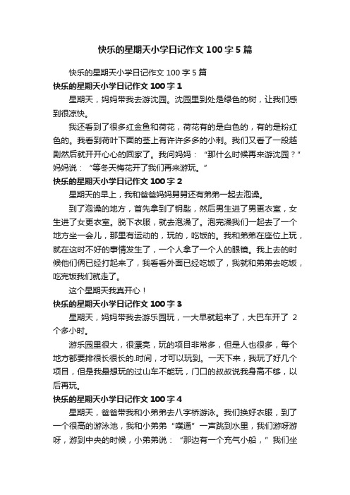 快乐的星期天小学日记作文100字5篇