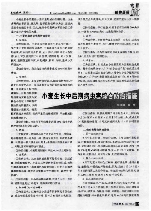 小麦生长中后期病虫害综合防治措施