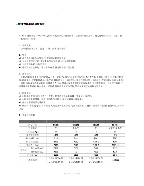 RTTS封隔器简介