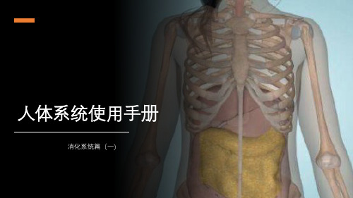 人教版七年级下册生物2.2消化和吸收精品课件含视频素材