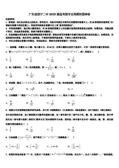 广东省普宁二中2025届高考数学全真模拟密押卷含解析