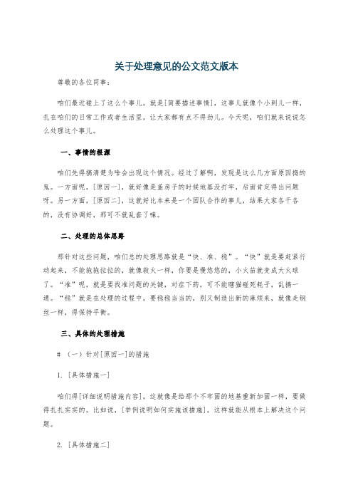 关于处理意见的公文范文版本