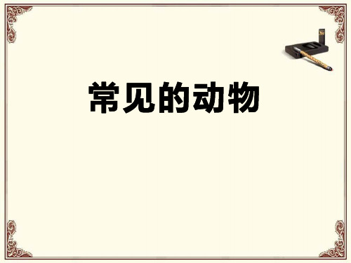 浙教版七年级上册科学《常见的动物》PPT说课教学课件