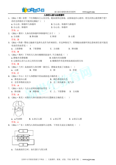 2011年生物中考试题分类集之十四：人体的心脏与血液循环