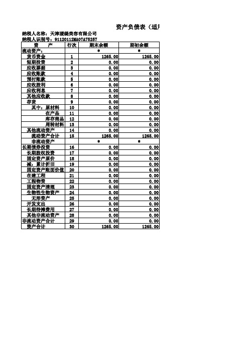 资产负债表(适用执行小企业会计准则的企业)(2017-02-01-2017-02-28)