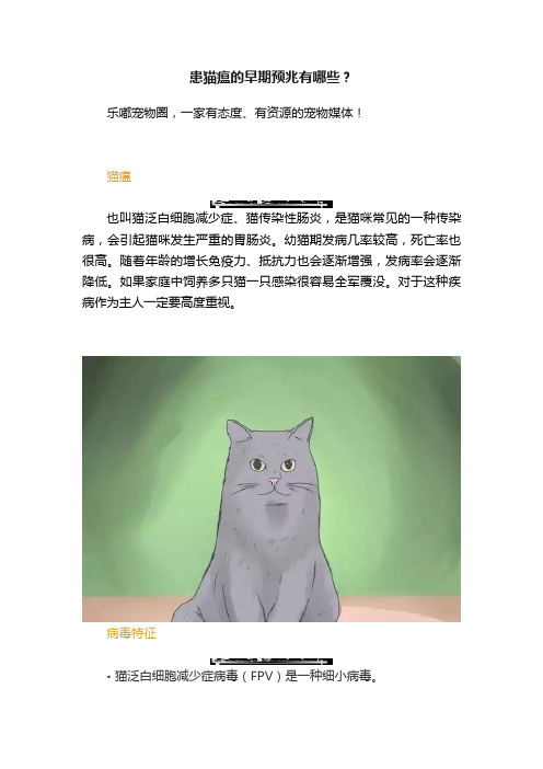 患猫瘟的早期预兆有哪些？