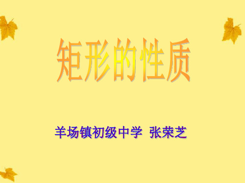 矩形的性质2