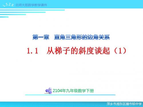 1.1从梯子的倾斜度谈起(1)