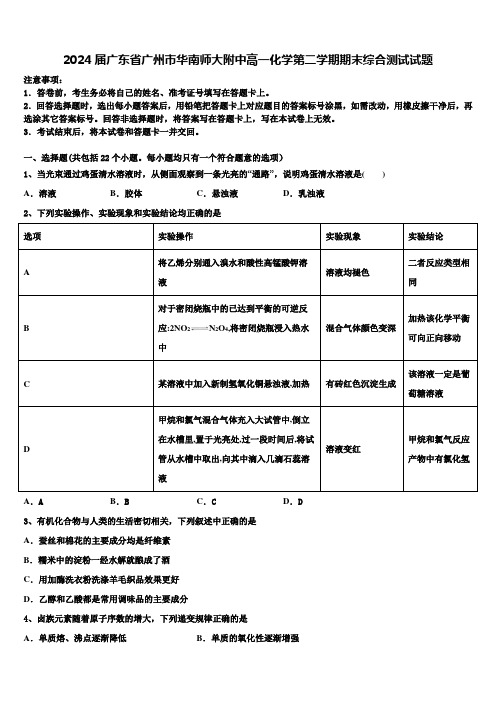 2024届广东省广州市华南师大附中高一化学第二学期期末综合测试试题含解析