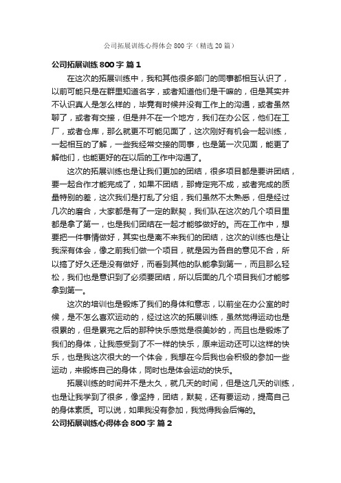 公司拓展训练心得体会800字（精选20篇）