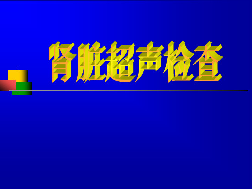 肾脏超声检查