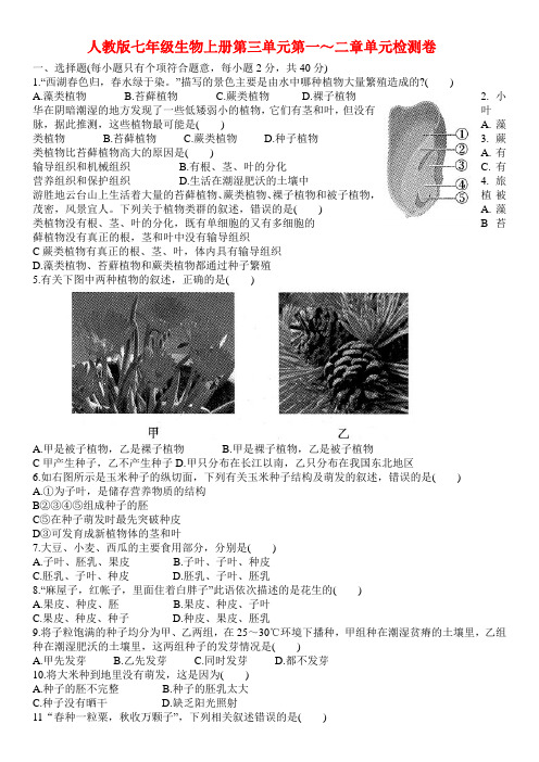 人教版七年级生物上册第三单元生物圈中的绿色植物(第一、二章)单元检测卷【有答案】