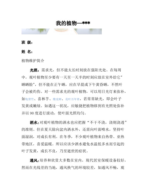 幼儿园植物观察记录表 (3)