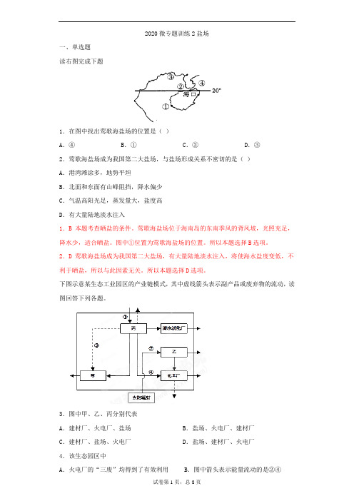 2020地理微专题训练2  盐场带答案