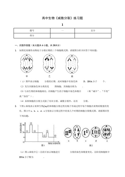 高中生物《减数分裂》练习题(含答案解析)