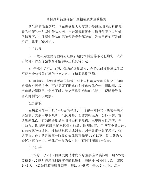 如何判断新生仔猪低血糖症及防治的措施