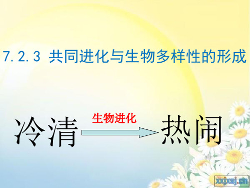 7.2.3共同进化与生物多样性的形成人教版高中生物必修2课件(共24张PPT)