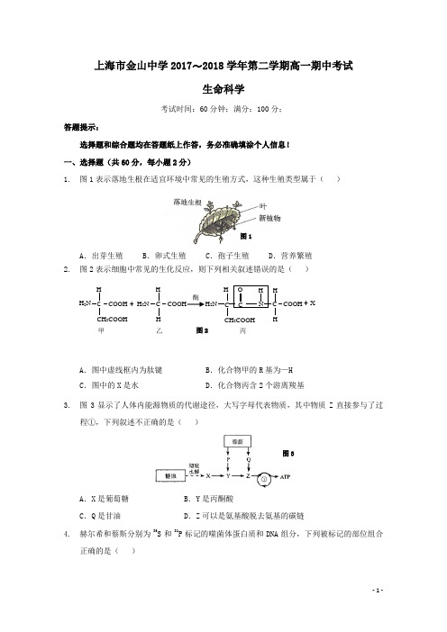 上海市金山中学2017-2018学年高一生命科学下学期期中试题(含答案)