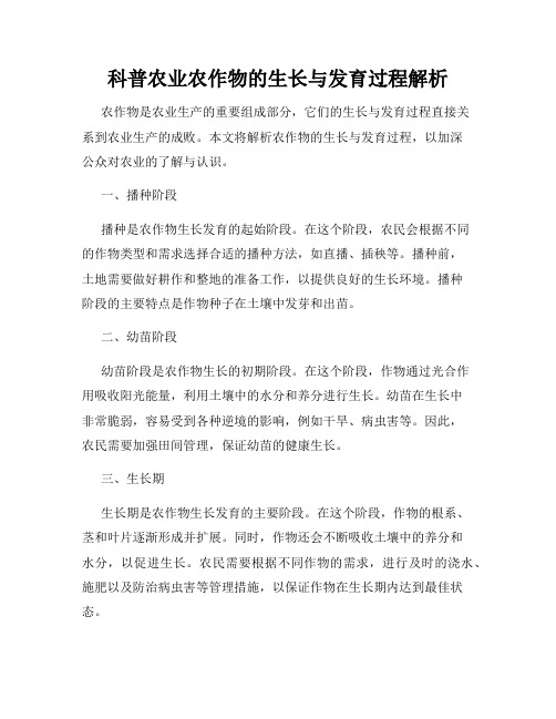 科普农业农作物的生长与发育过程解析