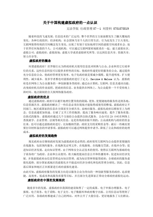 关于中国构建虚拟政府的一点认识