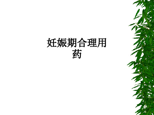 妊娠期合理用药ppt课件