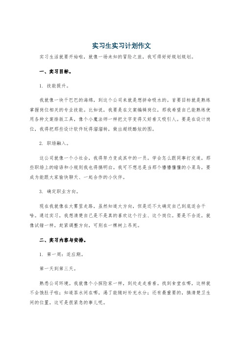 实习生实习计划作文