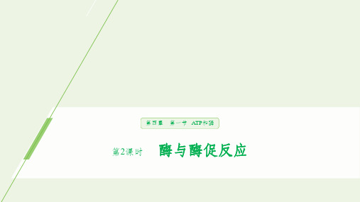 201X_202x版高中生物第4章光合作用和细胞呼吸第一节第2课时酶与酶促反应苏教版必修1