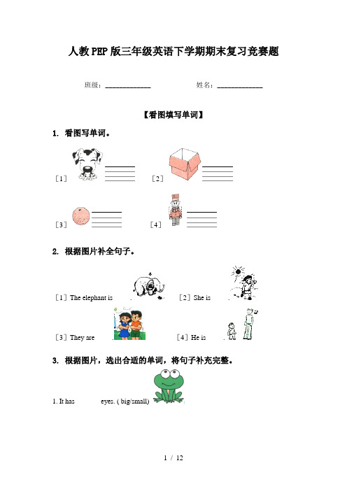 人教PEP版三年级英语下学期期末复习竞赛题