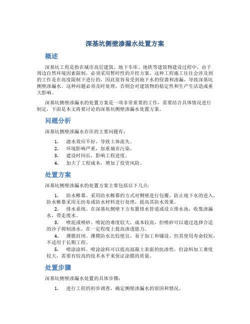 深基坑侧壁渗漏水处置方案