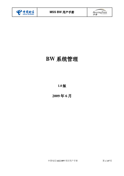 BW系统操作手册_v1.1