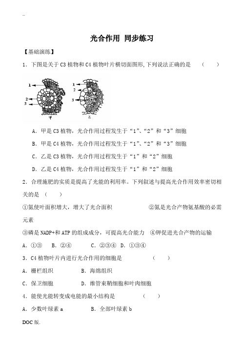 苏教版必修1高中生物光合作用 同步练习