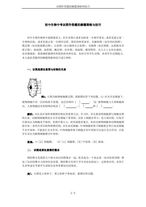 识图作答题的解题策略和技巧