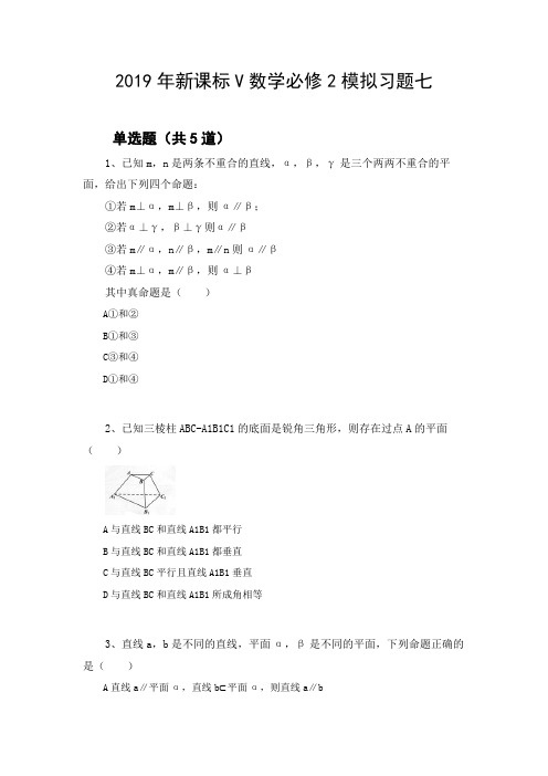 2019年新课标V数学必修2模拟习题七