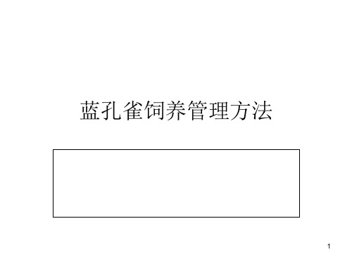 蓝孔雀饲养管理方法-文档资料