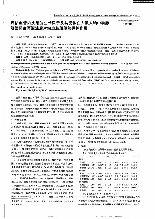 评估血管内皮细胞生长因子及其受体在大鼠大脑中动脉短暂闭塞再灌注后对缺血脑组织的保护作用