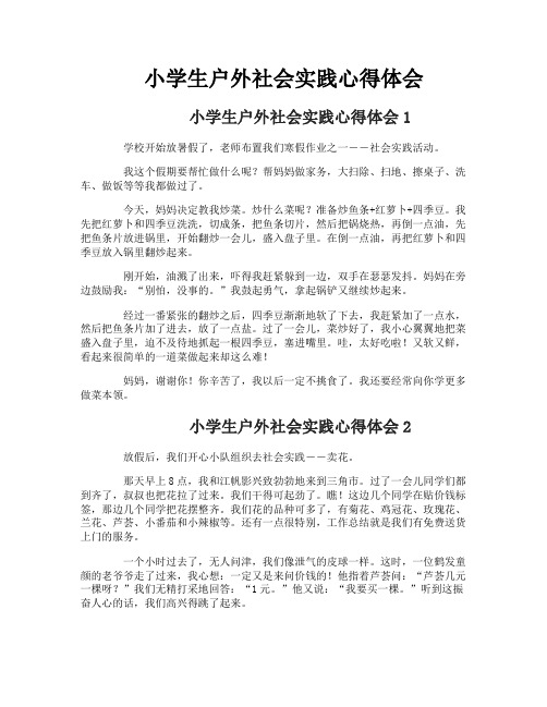 小学生户外社会实践心得体会