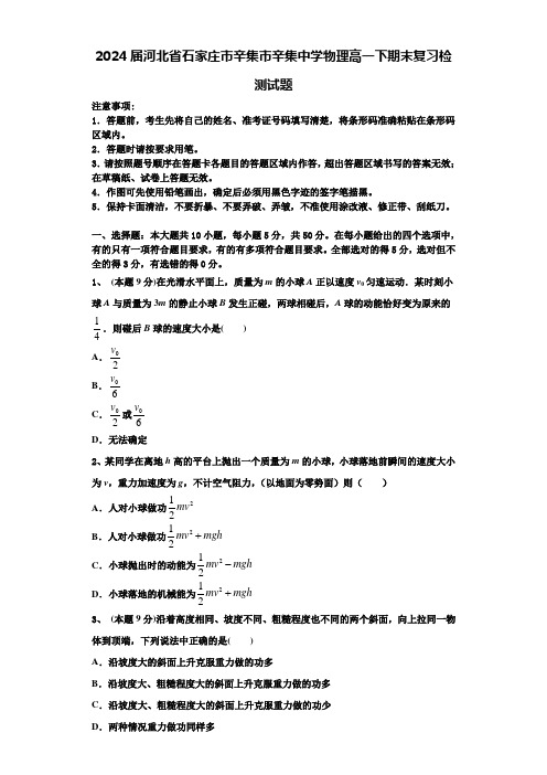 2024届河北省石家庄市辛集市辛集中学物理高一下期末复习检测试题含解析