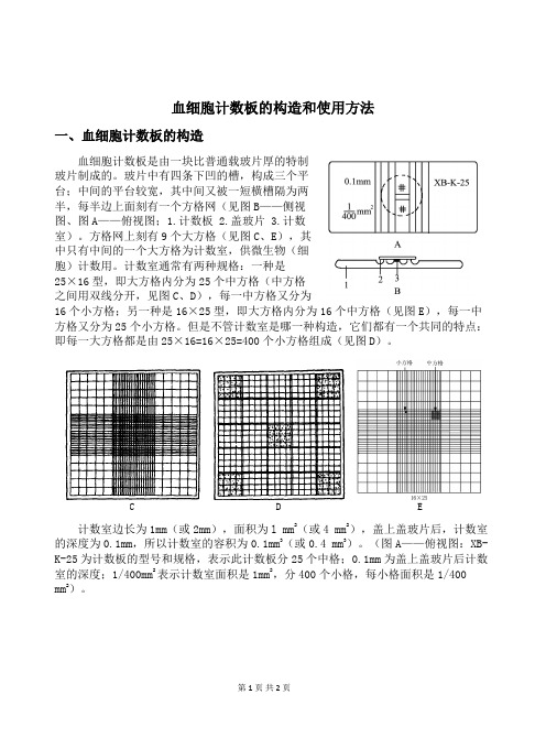 血细胞计数板的构造和使用方法简介(必3)