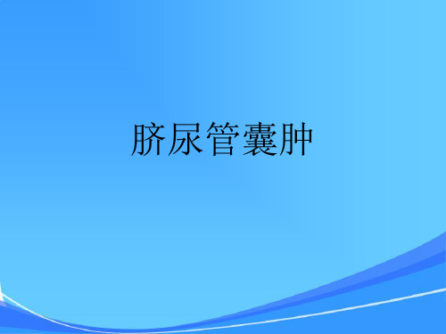 脐尿管囊肿、脐茸的相关护理_【课件】